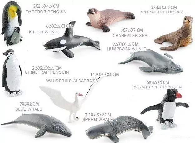 Zestaw zwierząt Antarktydy - tantis.pl