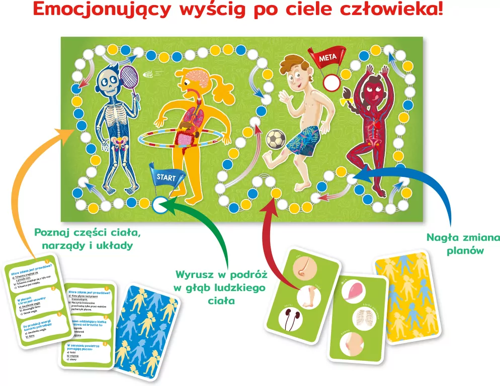 Ciało człowieka - tantis.pl