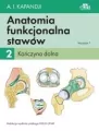 Anatomia funkcjonalna stawów. Kończyna dolna. Tom 2 - tantis.pl