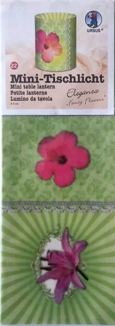 Mini lampiony Eleganza 5 arkuszy 10x28cm - tantis.pl