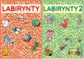 Pakiet: Labirynty / Labirynty 2 - tantis.pl