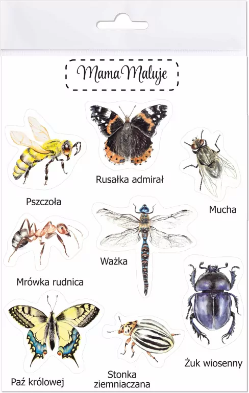 Naklejki duże Owady 1 - tantis.pl