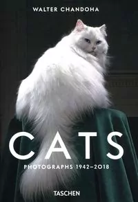 Walter Chandoha. Cats. Photographs 1942-2018 wer. angielska - tantis.pl
