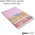 PAPIER XERO KOL A4 75G ROZ OP100ARK PENW - tantis.pl