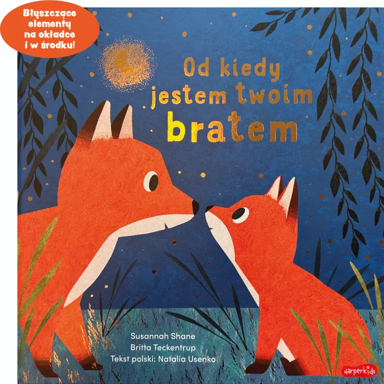 Od kiedy jestem twoim bratem - tantis.pl