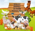 Odgłosy zwierząt na farmie McDonald's CD - tantis.pl