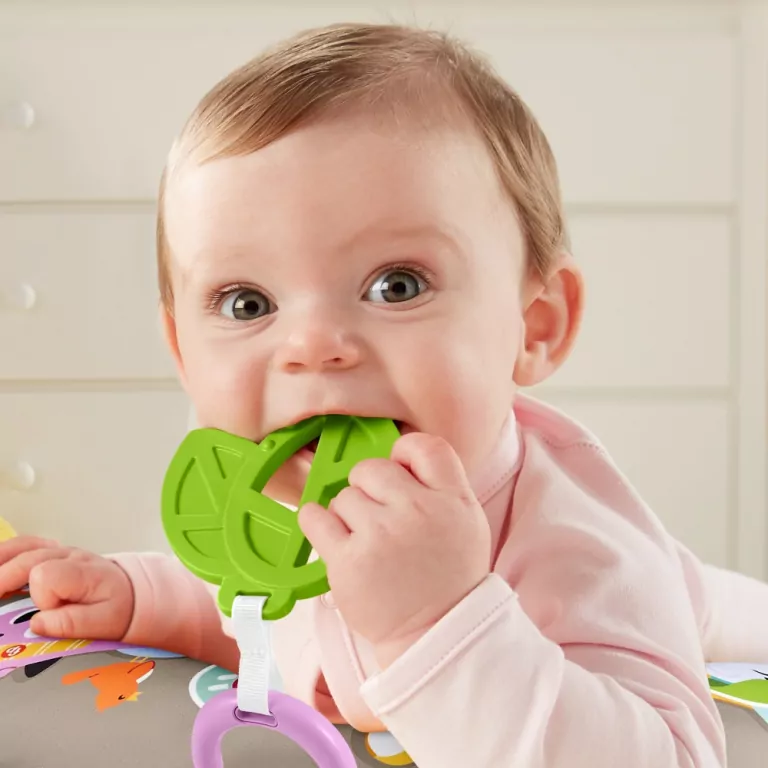Fisher Price Muzyczny Leniwiec poduszka z wibracją - tantis.pl