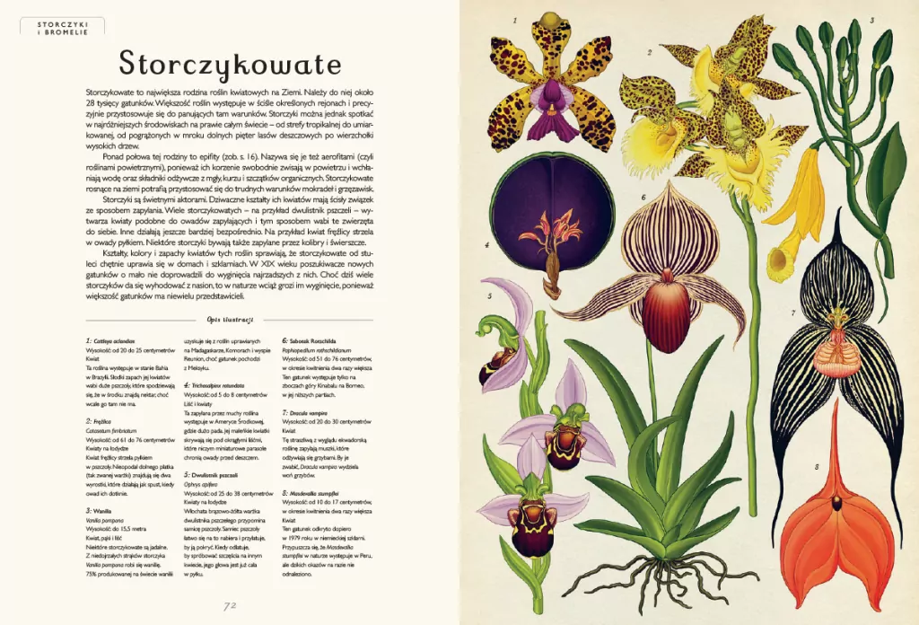 Botanicum. Muzeum Roślin. W Muzeum - tantis.pl