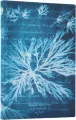 Notatnik linia Sea Flowers mini - tantis.pl