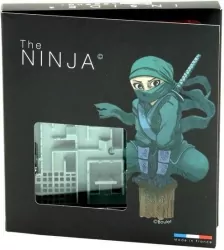 The Ninja. IUVI Games
