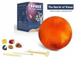 Zestaw wykopaliska minerały. Wenus