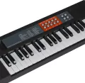 ORGANY B/O MIKROF 58X19X6 MC PUD 24 - tantis.pl