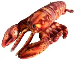 Homar 28cm