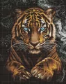Diamentowa mozaika - Dziki tygrys 40x50cm - tantis.pl