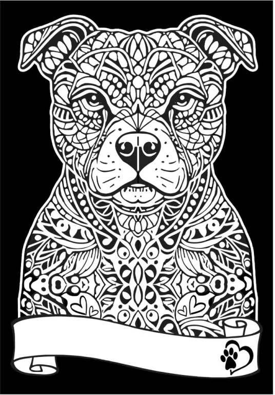 Kolorowanka welwetowa A4 Pitbul - tantis.pl