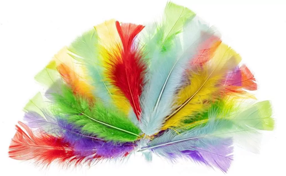 Piórka indycze 10-15cm pastelowe - tantis.pl