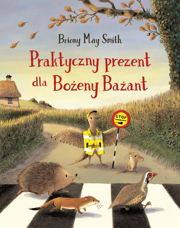 Praktyczny prezent dla Bożeny Bażant - tantis.pl