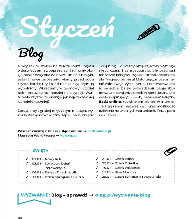 Książkoplaner. Rok w biznesie online - tantis.pl