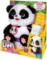 Little Live Pets. Panda - tantis.pl