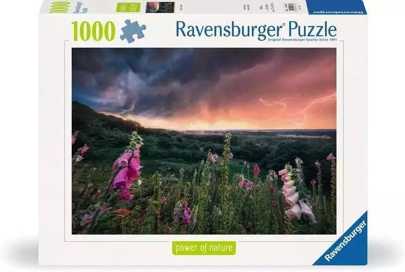 Puzzle 1000 Nadchodzi burza - tantis.pl