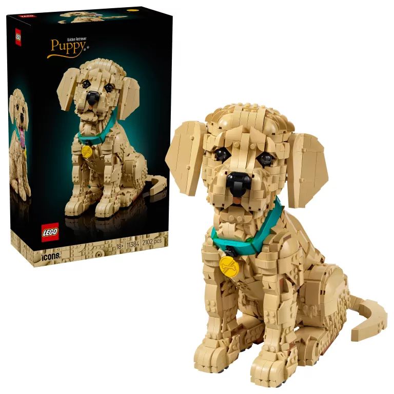 LEGO® Icons. Szczeniak golden retriever 11384 - tantis.pl