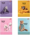 Zeszyt A5/32K linia kolorowa Pawsitive (15szt) - tantis.pl