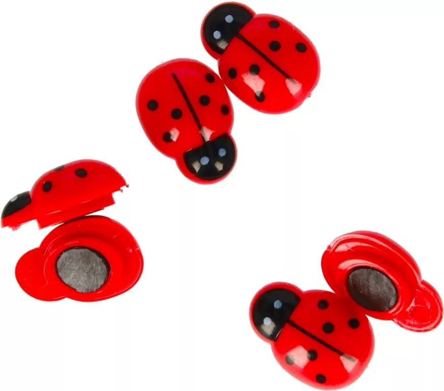 Magnesy. Biedronki 6 sztuk - tantis.pl