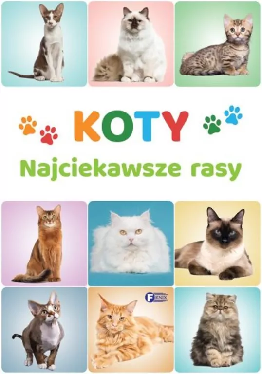Koty. Najciekawsze rasy - tantis.pl