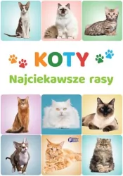 Koty. Najciekawsze rasy