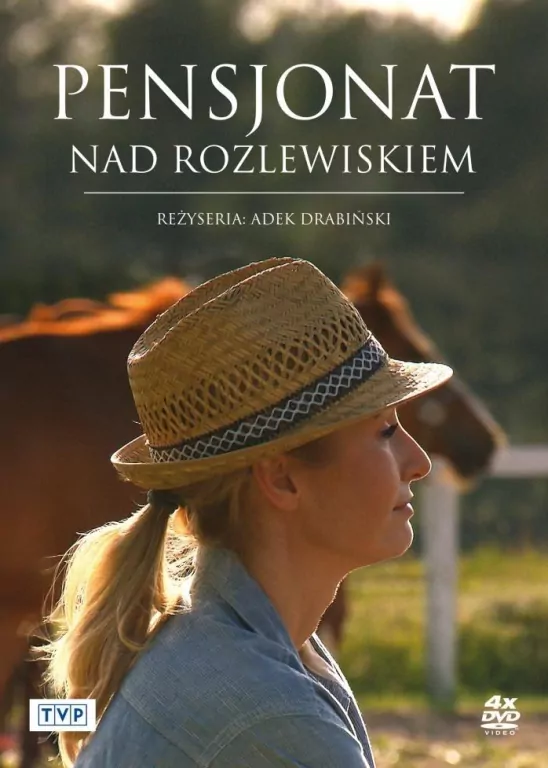 Pensjonat nad Rozlewiskiem 4 DVD - tantis.pl
