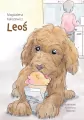 Leoś - tantis.pl