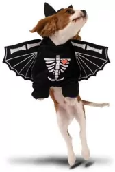 Strój dla psa Nietoperz 45x35cm