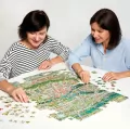 CzuCzu. Puzzlove. Miasto Wrocław. 1000 el. - tantis.pl