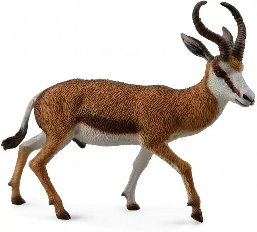 Kozioł springbok - tantis.pl