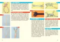Węzły i sploty. Książki dla żeglarzy wyd. 10 - tantis.pl