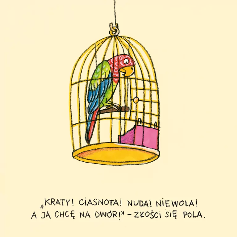 Pola z ulicy Czereśniowej - tantis.pl