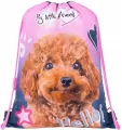 Worek na obuwie Hello Dog - tantis.pl