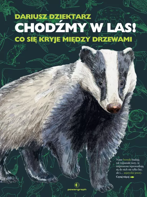 Chodźmy w Las! Co się kryje między drzewami - tantis.pl