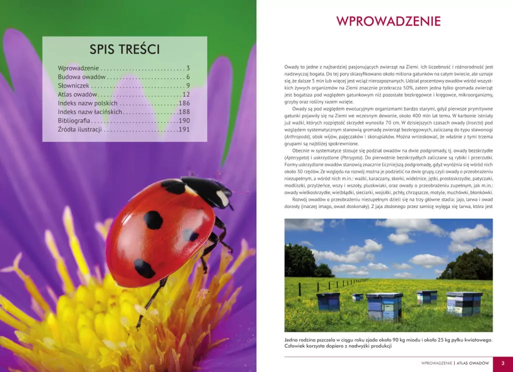 Atlas owadów. 250 polskich gatunków - tantis.pl