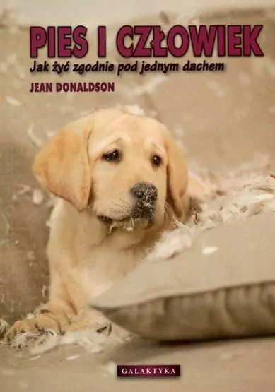 Pies i człowiek. Jak żyć zgodnie pod jednym dachem - tantis.pl