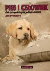 Pies i człowiek. Jak żyć zgodnie pod jednym dachem