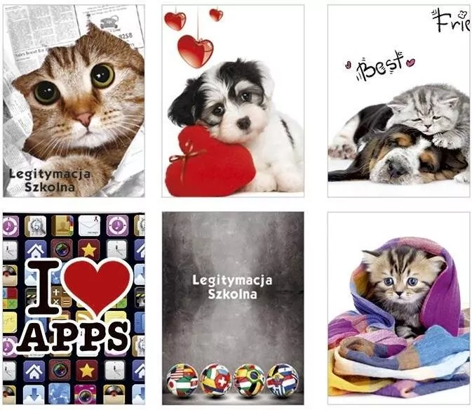 Okładka na legitymację szkolną z nadrukiem, mix - tantis.pl