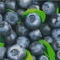Malowanie po numerach. Soczysta borówka 25x25 - tantis.pl