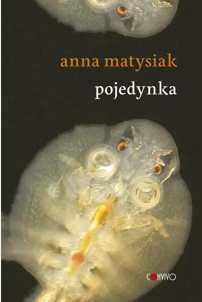 Pojedynka - tantis.pl