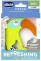Chicco. Gryzak. 6 miesięcy. Tukan - tantis.pl