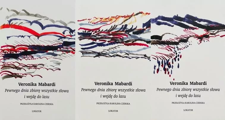 Pewnego dnia zbiorę wszystkie słowa i wejdę do lasu - tantis.pl