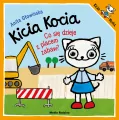 Co się dzieje z placem zabaw? Kicia Kocia - tantis.pl