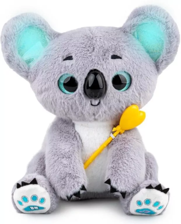 Czarujący Koala - tantis.pl
