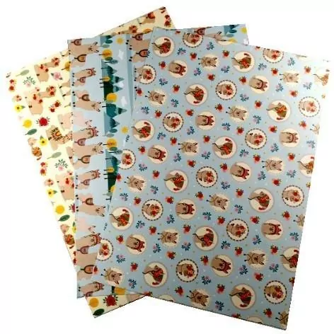 Karton 300g lama 24x34cm 3 ark MIX - tantis.pl