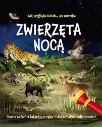 Zwierzęta nocą. Nocne safari z latarką w ręku - dla śmiałych odkrywców!